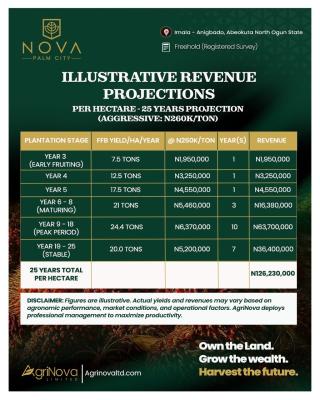 Invest in Palm Oil Production with Cofo and Earn Over 80% Yearly