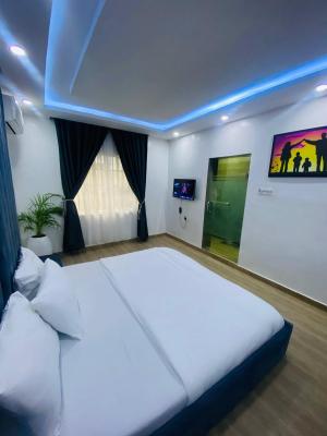 Well Furnished 2 Bedroom Flat