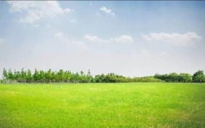 2, 700SQM at Lugard Rd