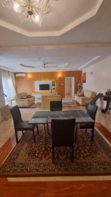 Fully Furnished & Serviced 2 Bedroom Apartment at Banana Island