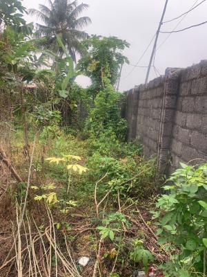 Full Plot of Dry Land