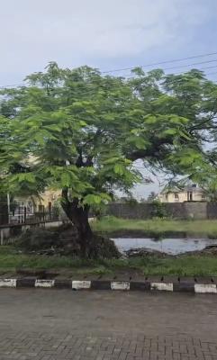 A Land Measuring 998.334SQM