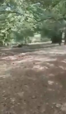 23.7 Acres of Land