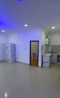 Spacious Studio Apartment with Personal Kitchen { Video}