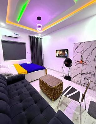 Cozy Luxury Studio Apartment