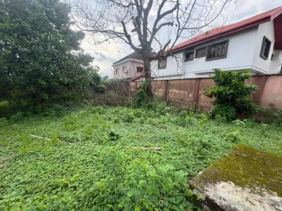 Land in a Serene Estate with Good Proximity to the Estate Gate