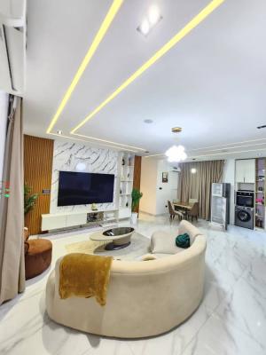 2 Bedroom Fully Furnished Apartment
