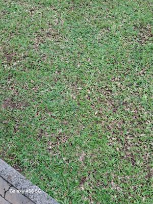 1400 SQM Fenced Land