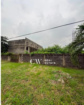 Premium Partitioned Land in Ikoyi