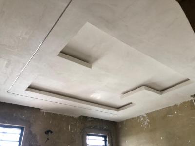 7 Bedroom Detached Triplex with BQ