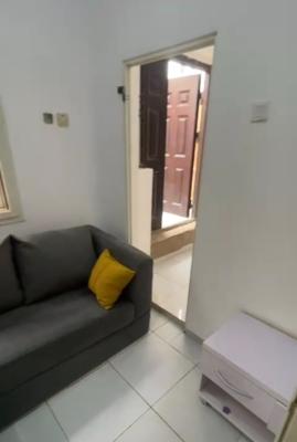 Executive Serviced Mini Flat (Ground Floor), Off Omorine Johnson Lekki