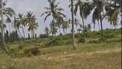 Oceanfront 25 Acres Dry-Land with Cofo