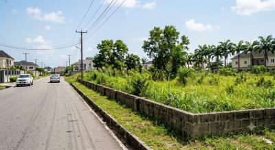 Prime Property Alert -- Lands for Sale in Sangotedo, Lagos!