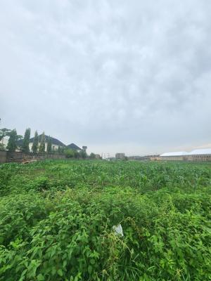 Large, Serviced Plot of Land