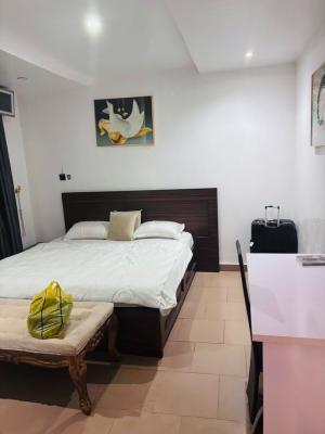 Fully Furnished 2 Bedroom Terrace Duplex in a Nice Environment