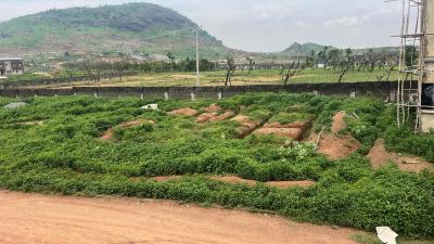 Premium 500SQM Flat Land