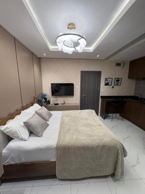 Meticulously Finished 1-Bedroom Apartment with Elegant Features