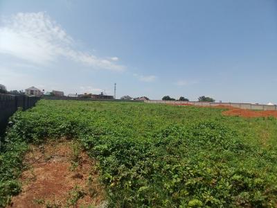 Estate Plot