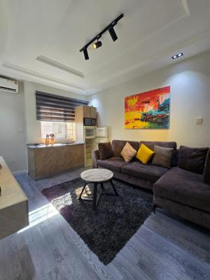Fully Furnished 1 Bedroom Apartment