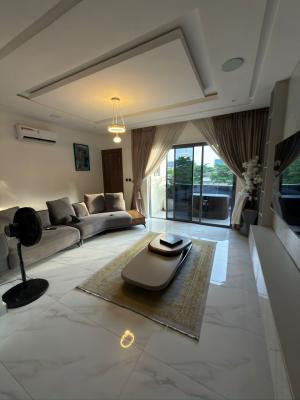 Luxury Fully Serviced 2 Bedroom Apartment
