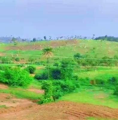 1000 SQM of Land