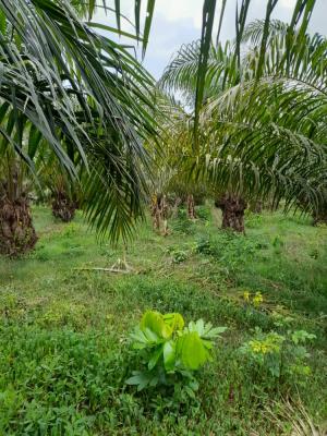 985SQM of Land in a Gated Estate with Small Structure