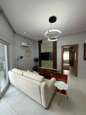 Fully Furnished, Luxury 2 Bedroom Apartment