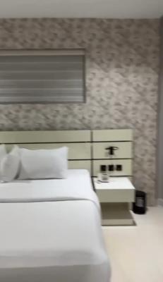 Spacious 1-Bedroom Apartment with Modern Interiors