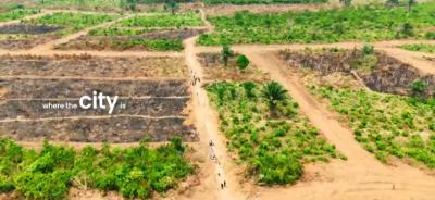 Plots of Estate Lands for Sale
