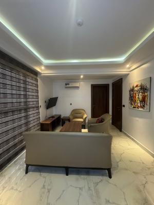 Furnished and Serviced 1 Bedroom Flat