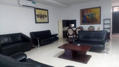 Luxuriously Fully Furnished 3bedroom Terrace Available in 1004 Estate