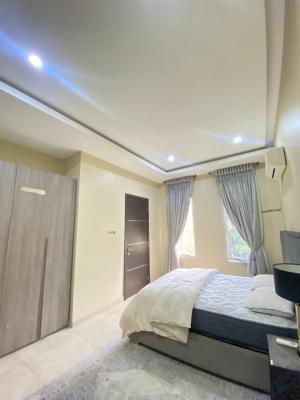 4 Bedroom Fully Furnished Terrace Duplex Witj BQ