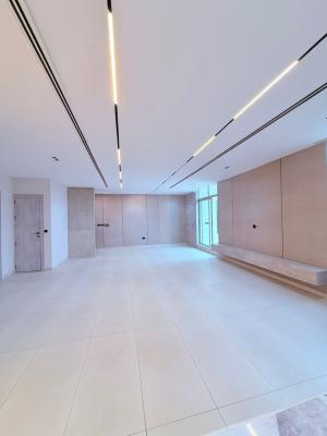 2bedrooms Penthouse with BQ