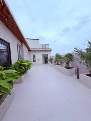 Massive Penthouse with BQ