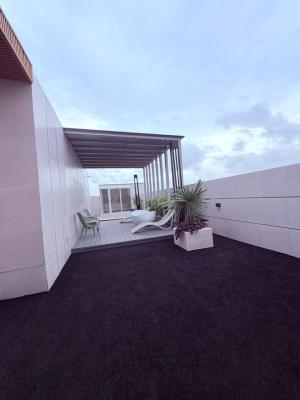 Massive Penthouse with BQ
