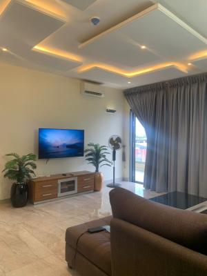 Fully Furnished 1 Bedroom Apartment