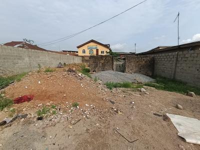 Full Plot of Land in a Very Busy Area on a Main Road Good for All Form