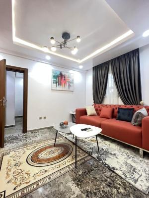 Fully Furnished & Serviced Miniflat