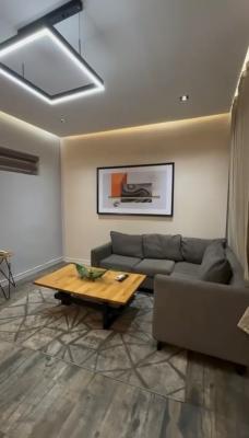 Luxury One Bedroom Apartment