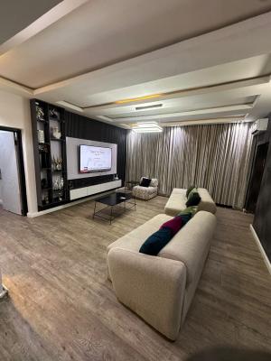Well Furnished 2 Bedroom Apartment