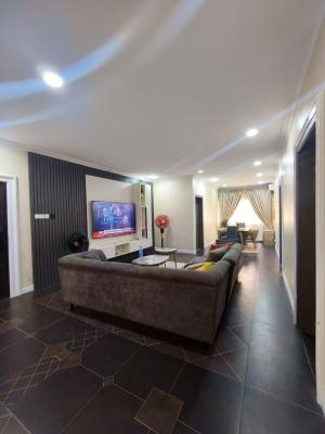 Tastefully Furnished 3 Bedroom Flat