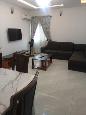 2 Bedroom Furnished Apartment