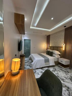 Luxury and Tastefully Furnished Studio Apartment