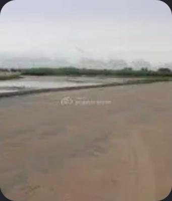 Joint Venture This Is Lekki's Next Waterfront Headline.20000sqm