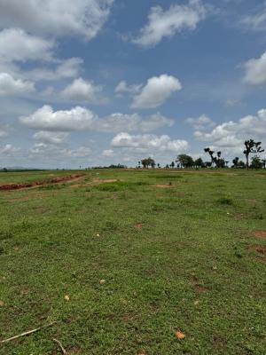 1 Hectare of Flat Land Located in the Fast-Developing Pyakasa Axis