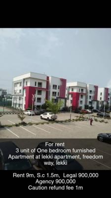 3 Units of Fully Serviced and Furnished Mini Flat