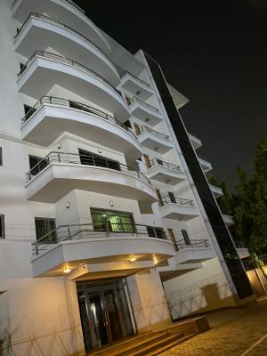 Tastefully Finished 3 Bedroom Flat with BQ Swimming Pool, Gym +elavat