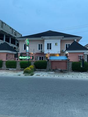 550SQM at Freedom Way for Close to VFS Freedom Way Lekki Phase1