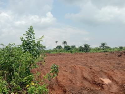 Affordable C of O Land