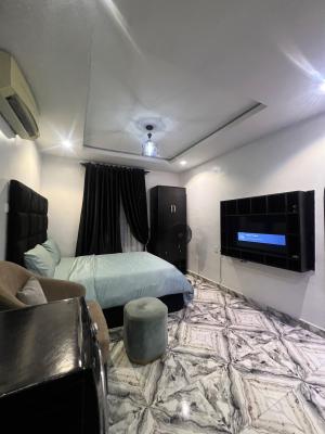 Very Decent, Furnished and Serviced Studio Apartment